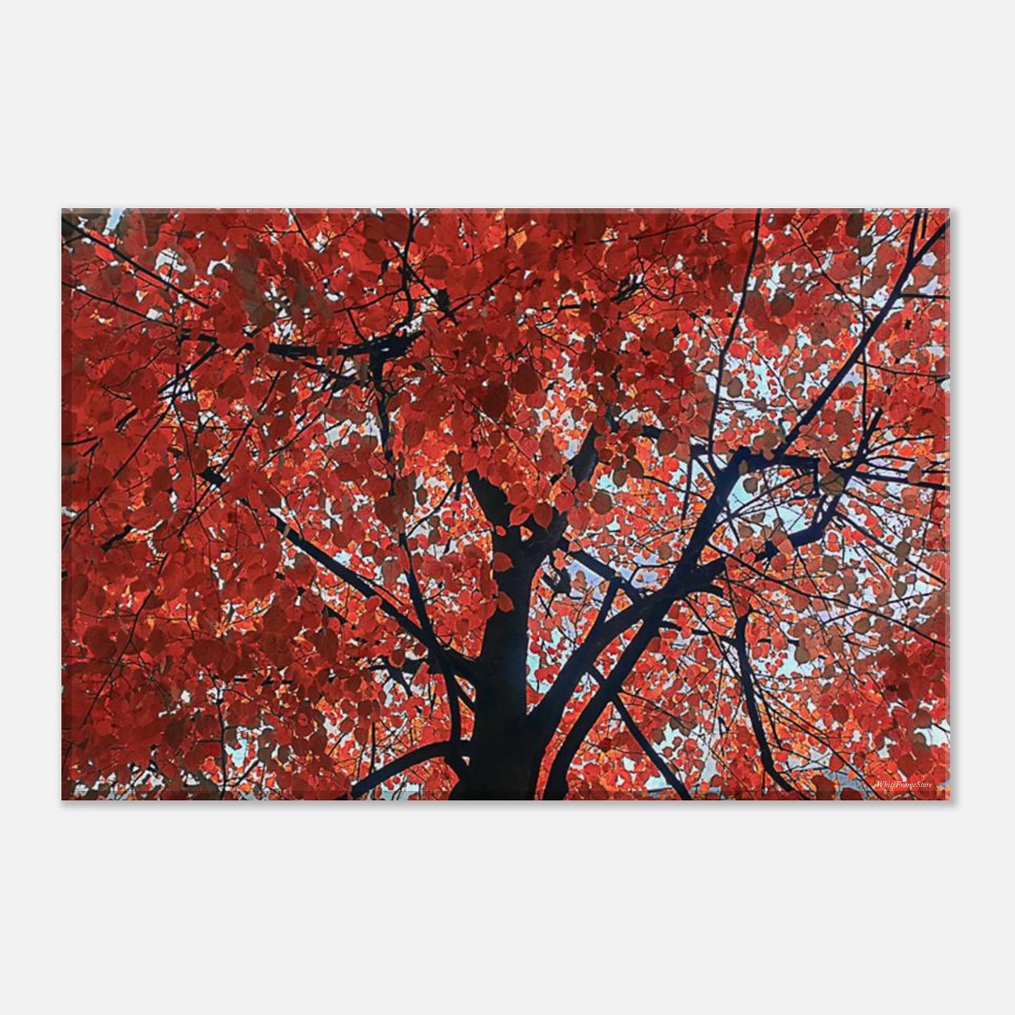 be30455f-7cd8-41be-a979-25f6b8fec575