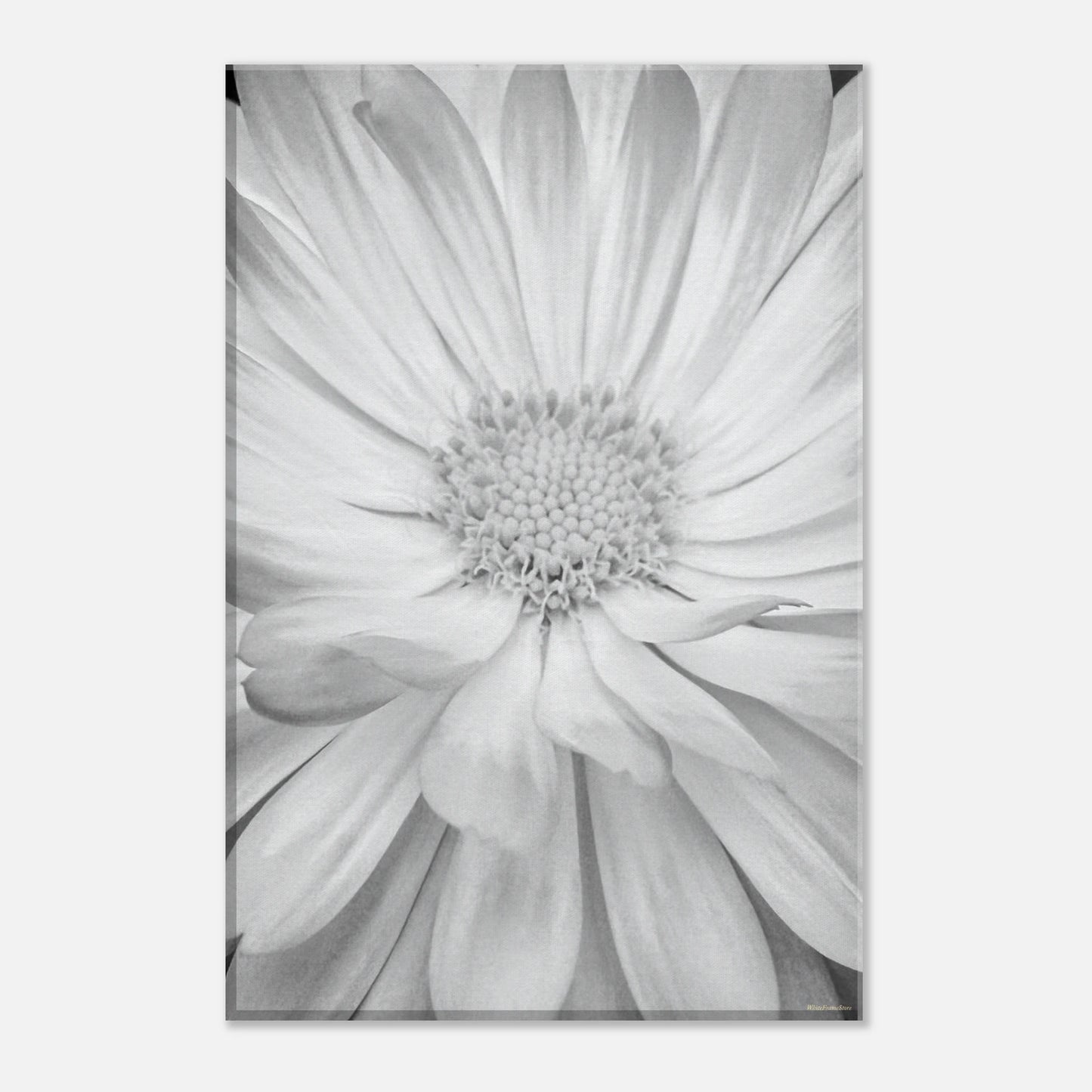 be3b97a6-429b-4ffd-9706-a76fe9d53a86