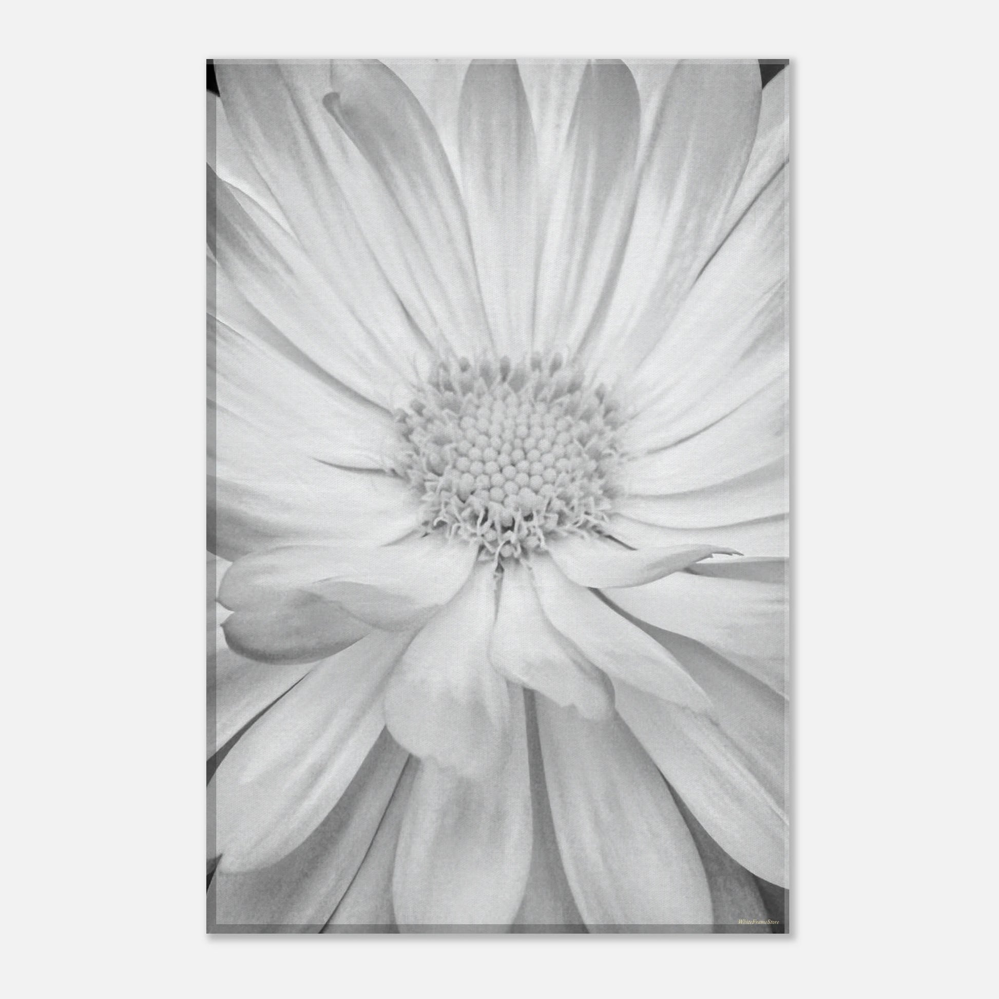 be3b97a6-429b-4ffd-9706-a76fe9d53a86