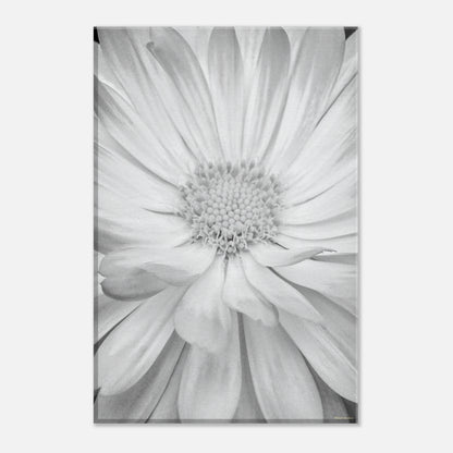 be3b97a6-429b-4ffd-9706-a76fe9d53a86