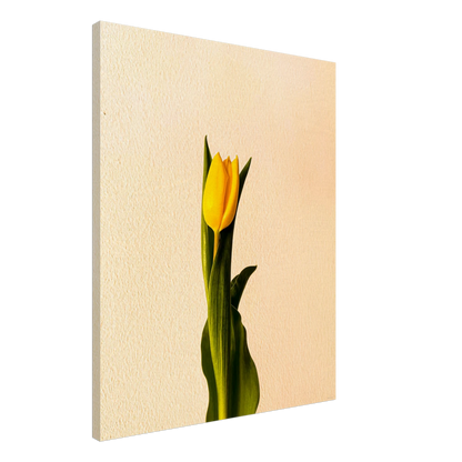 be3de3df-a140-4255-86d2-79ad18f8b6f0