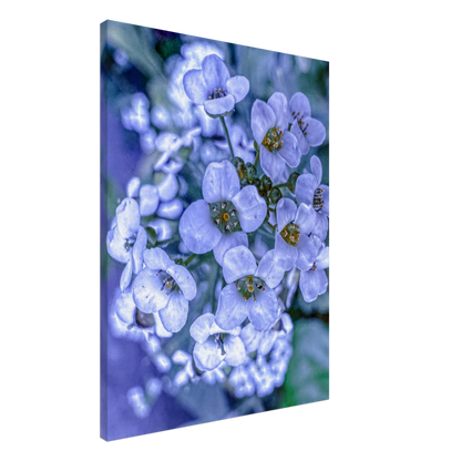 be60258f-fee4-436d-bfe8-f3fea3b6316a