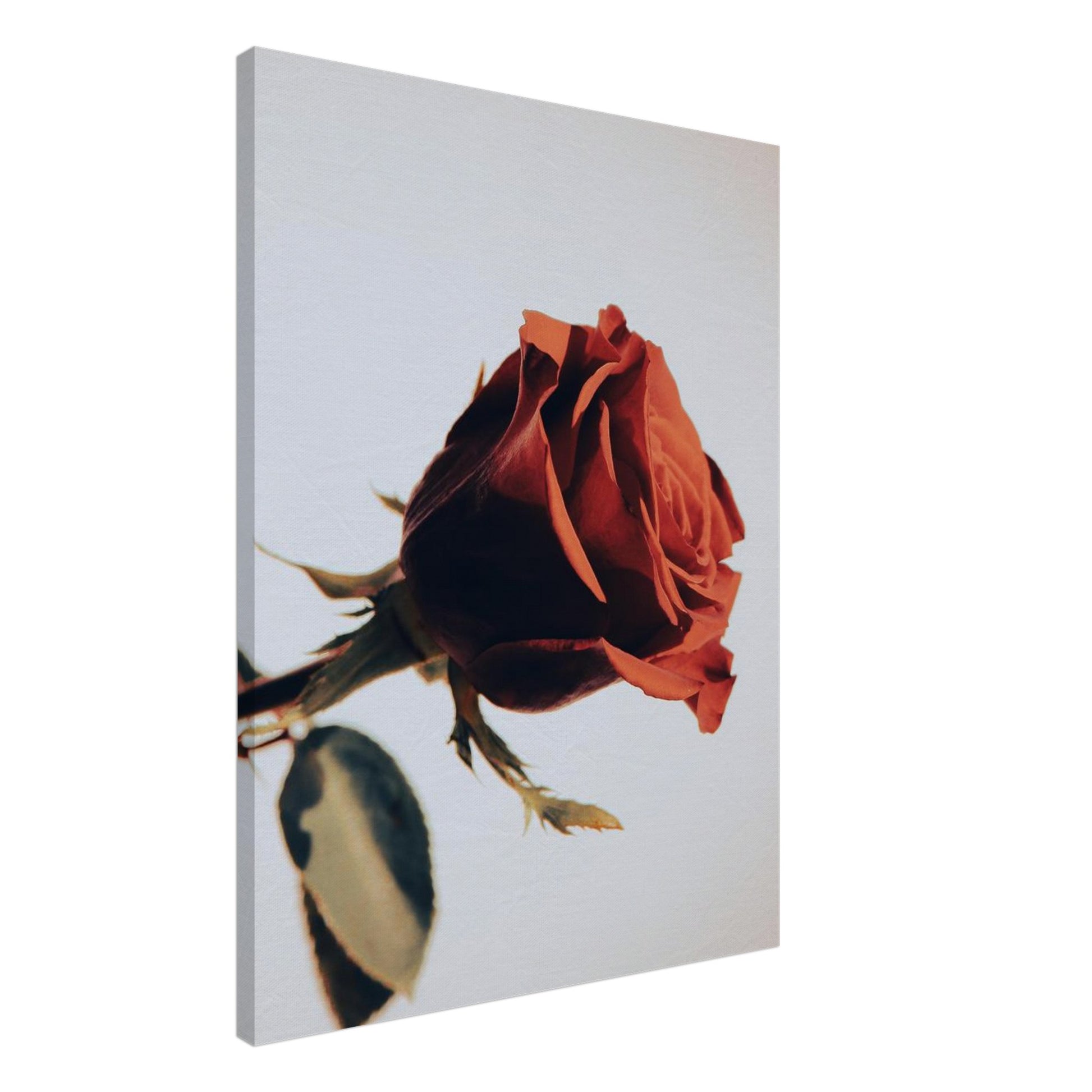 be99ea88-29a7-4c1f-befa-aa4cbbd13de5