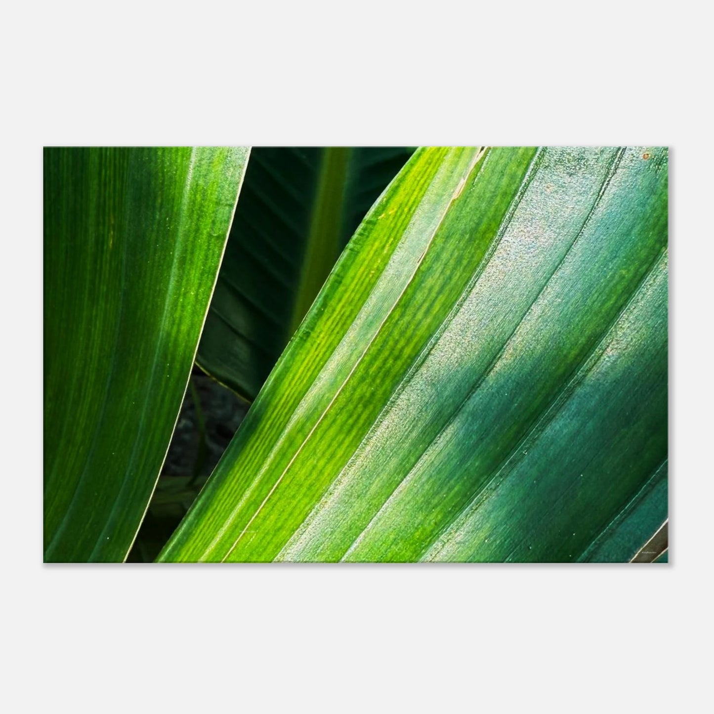 be9df3c5-e1c5-404a-81bc-9d43f8d1dd4b