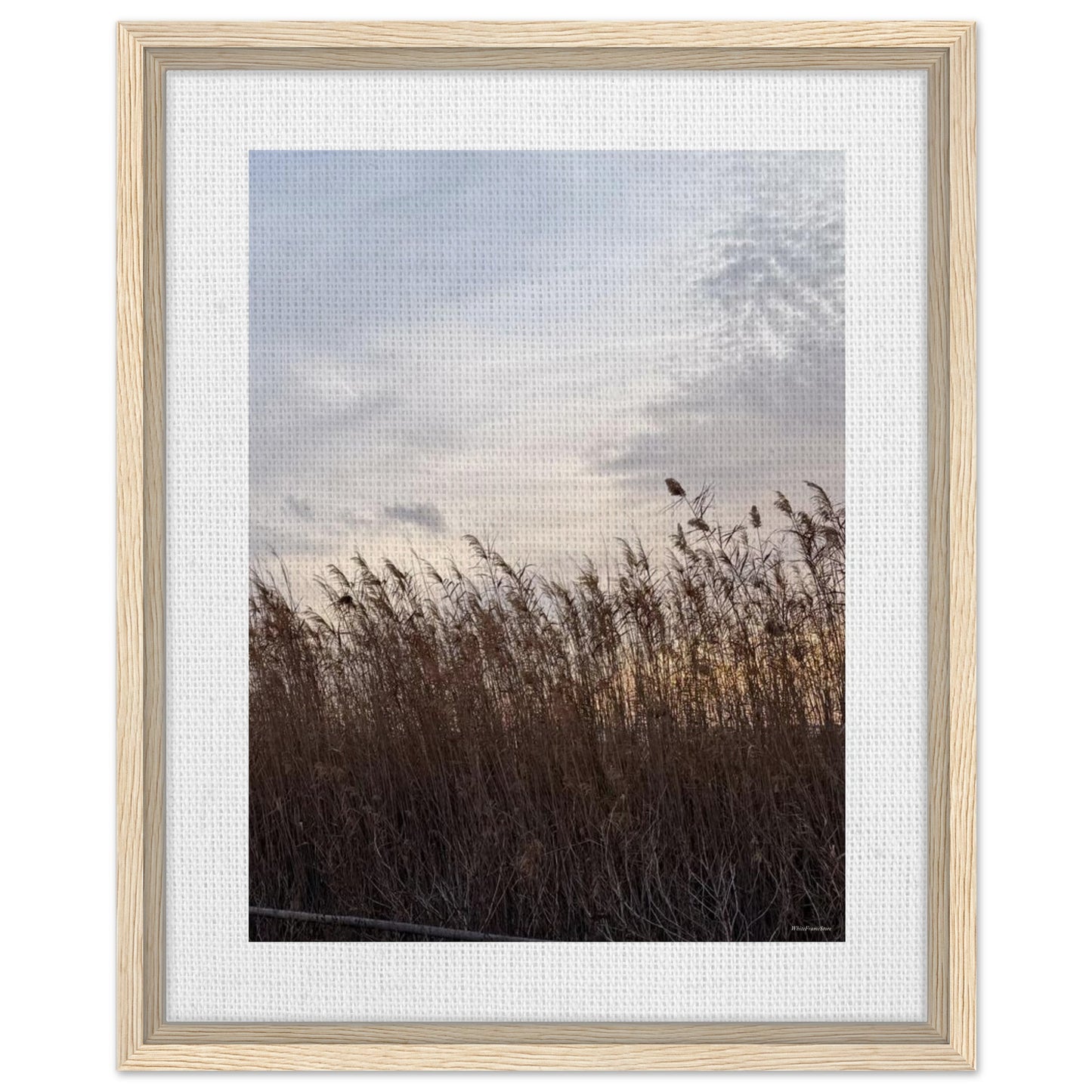 becc2b1e-a294-43a0-8df0-d931004108a5