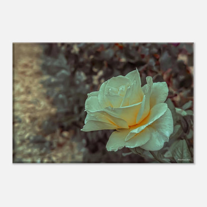 becd0256-252a-433b-b753-c69c05f58e84