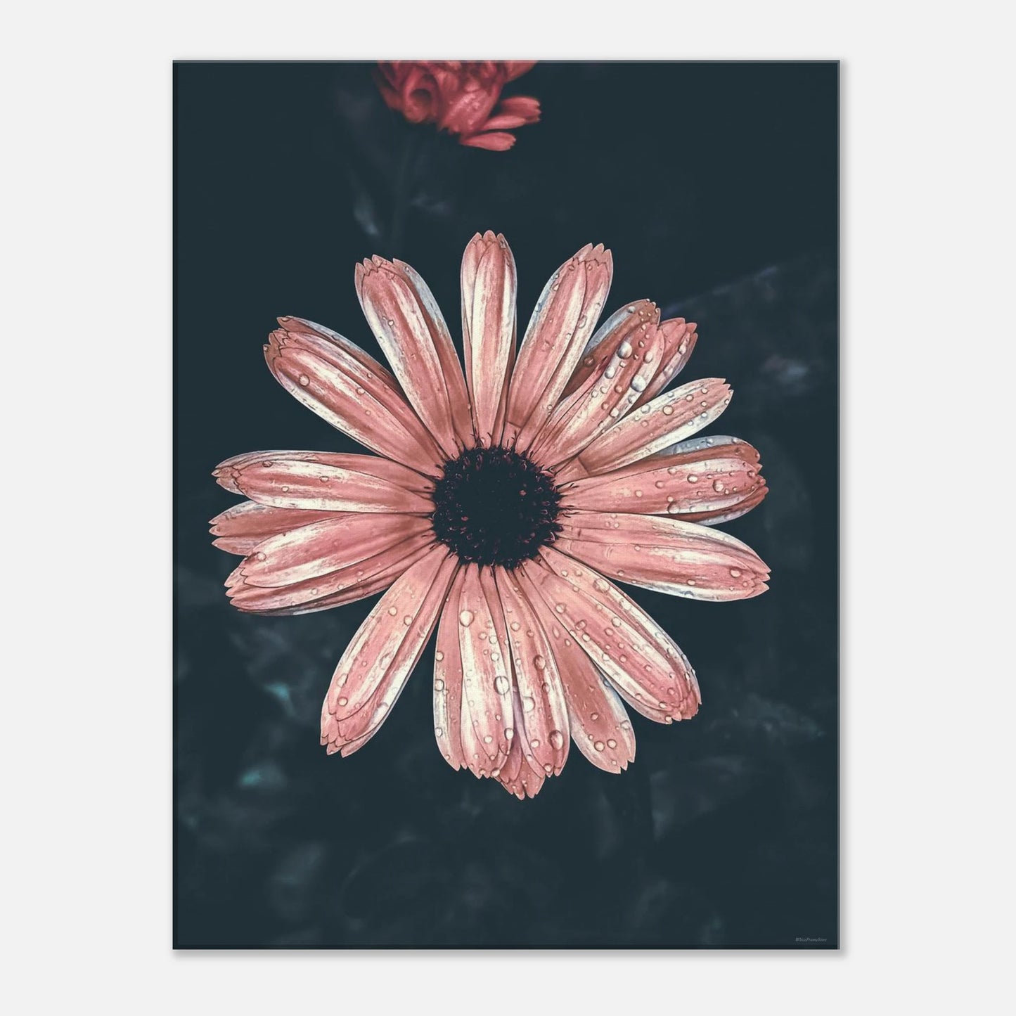 bee0a9d0-f847-42f6-a911-5d8792fabd7f