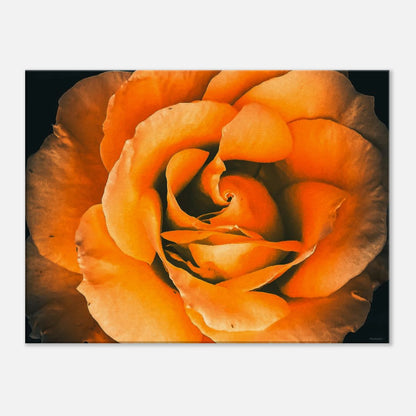 bef9010d-bd23-4d13-a3f5-d915d674f3ec