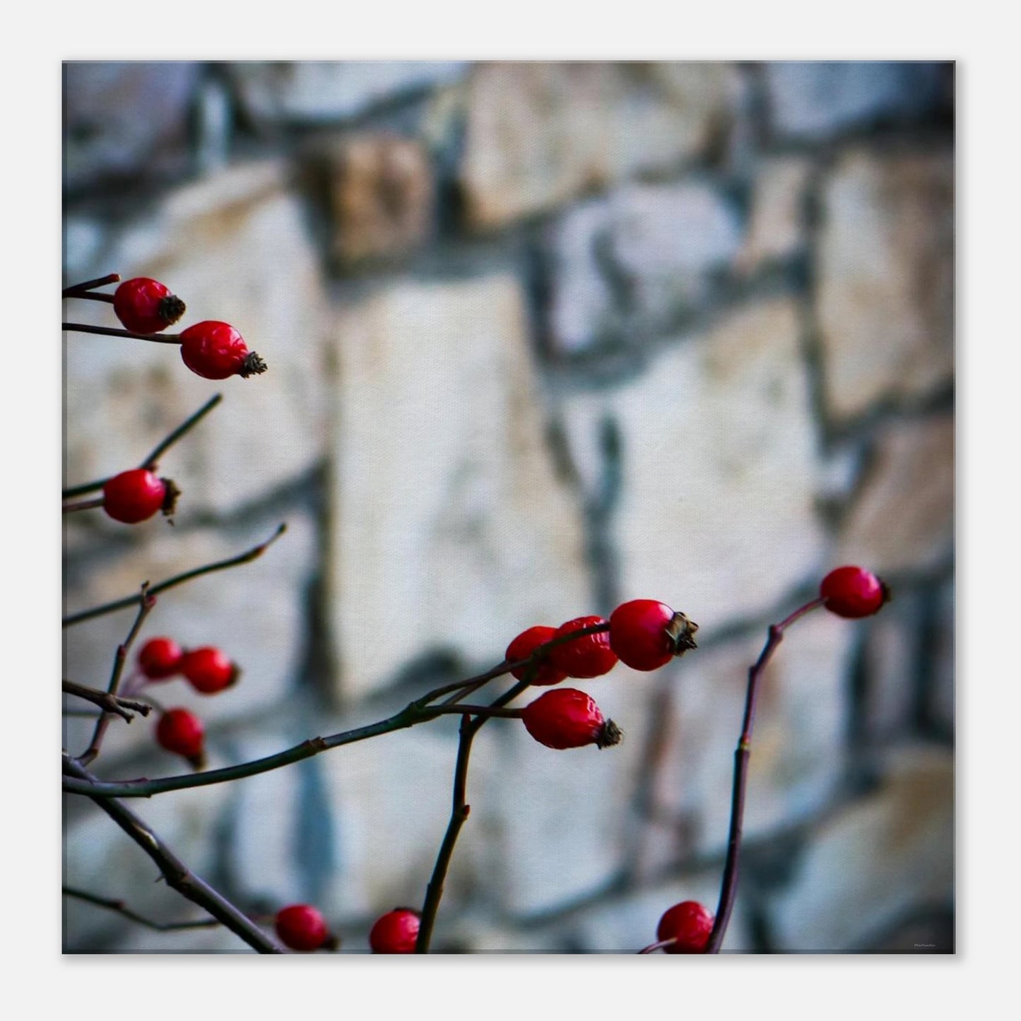 bf0a23c8-adfa-4697-9115-2f93666bd77c