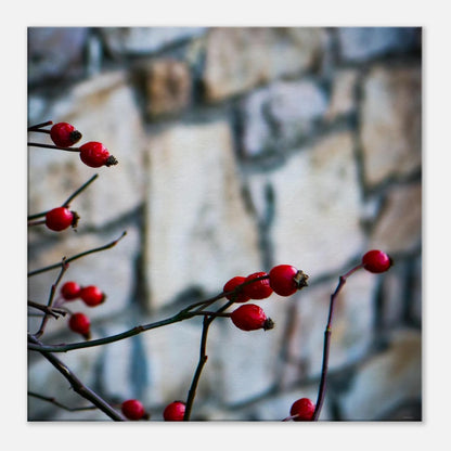 bf0a23c8-adfa-4697-9115-2f93666bd77c