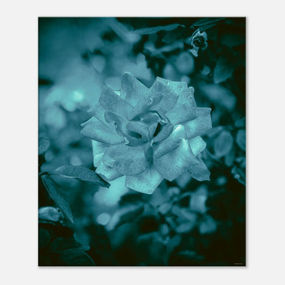 bf115937-0979-4d86-a30f-dc2aaf485d4b