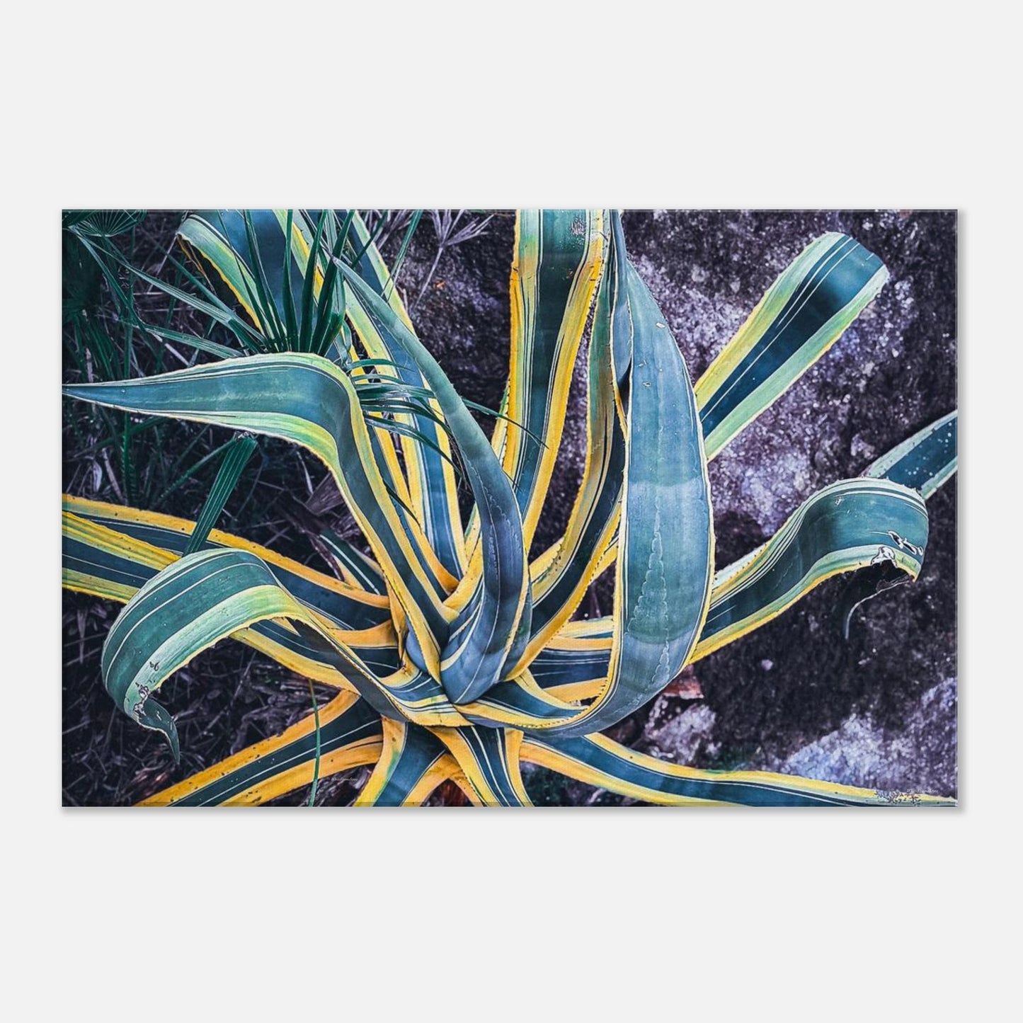 bf270f77-39b3-4728-8ccc-9a8c99ce6ecb