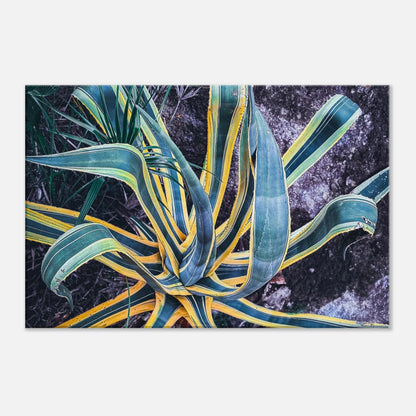 bf270f77-39b3-4728-8ccc-9a8c99ce6ecb