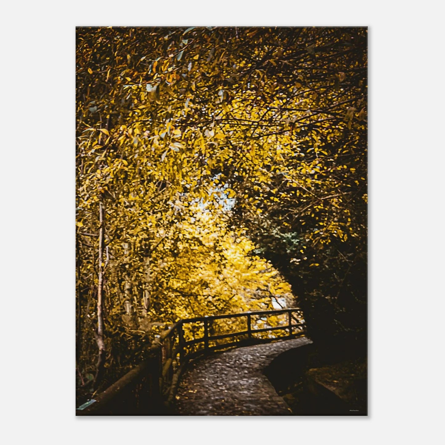 bf77aabe-1f03-4b91-b42d-c402401e0a0b