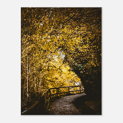 bf77aabe-1f03-4b91-b42d-c402401e0a0b