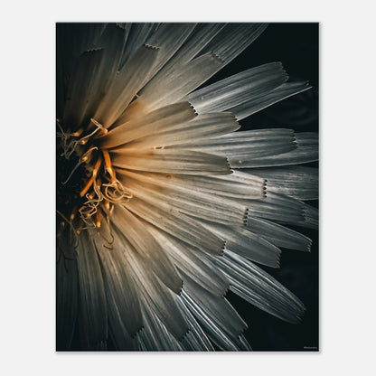 bfcbbbb1-c9e3-4338-a065-603dd2aefad3