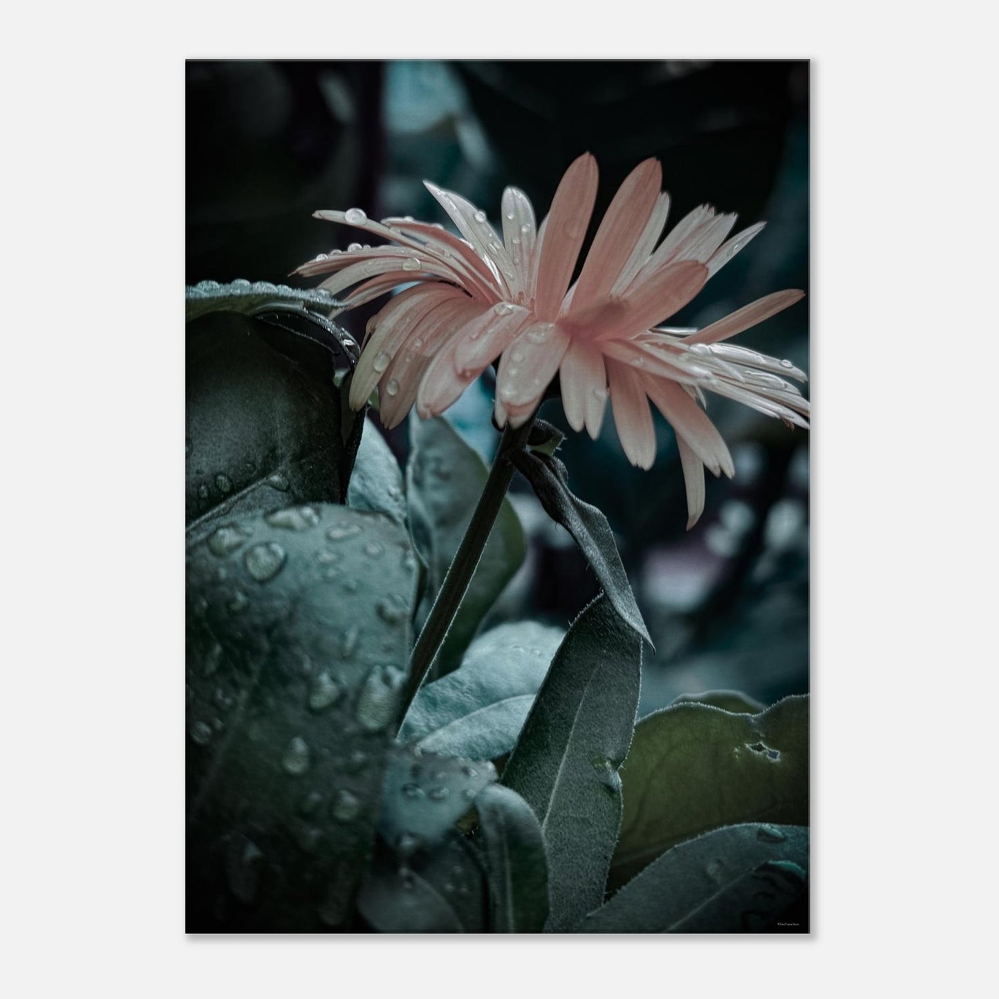 bfe2f8f1-627c-4ab8-8817-749bce097853