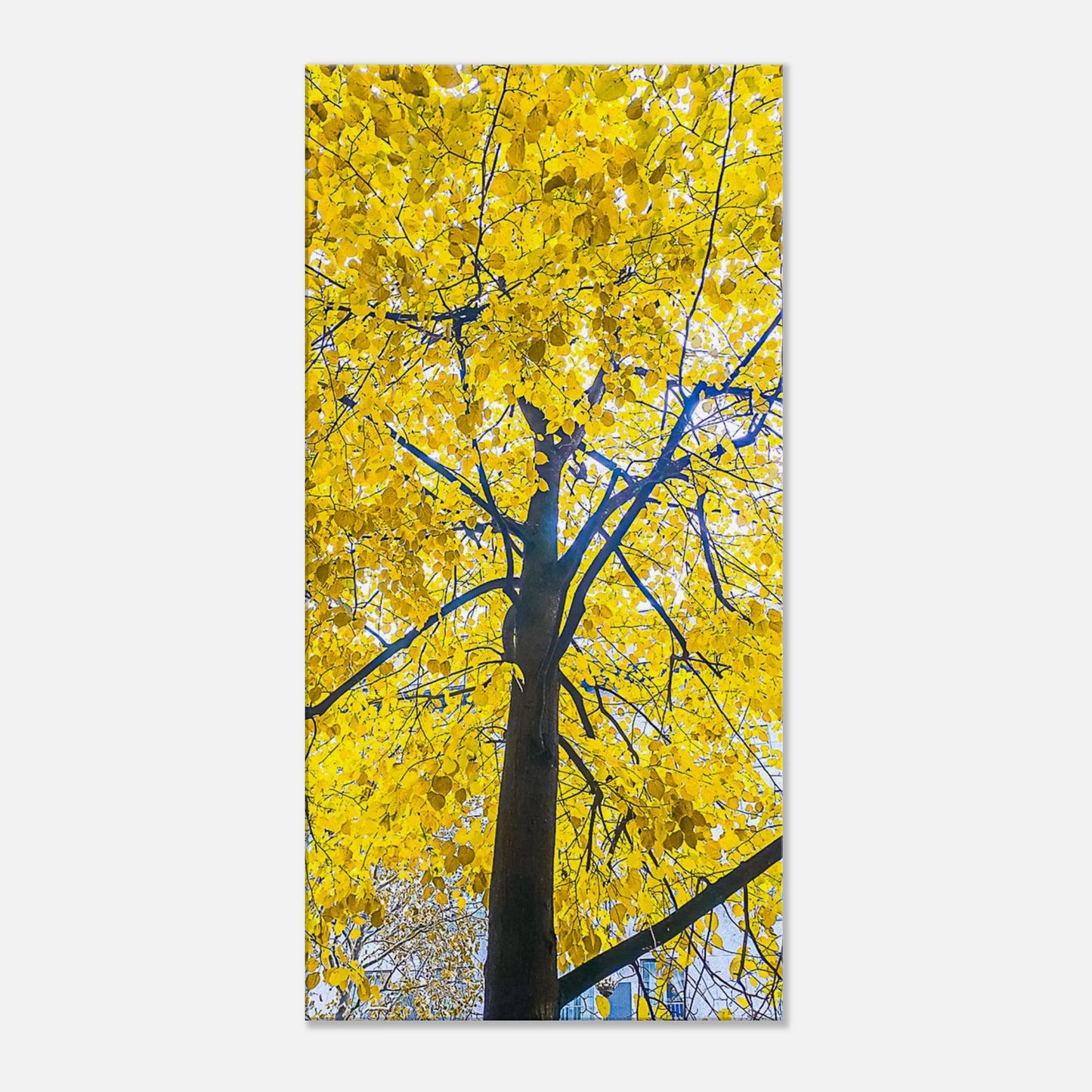 bffcd7a1-0ab9-4345-9b5d-8a95537efa1d