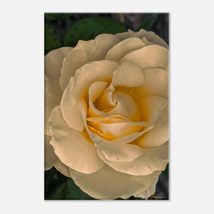 c04ad1bf-96e4-4076-baf3-a7aec6f636fd