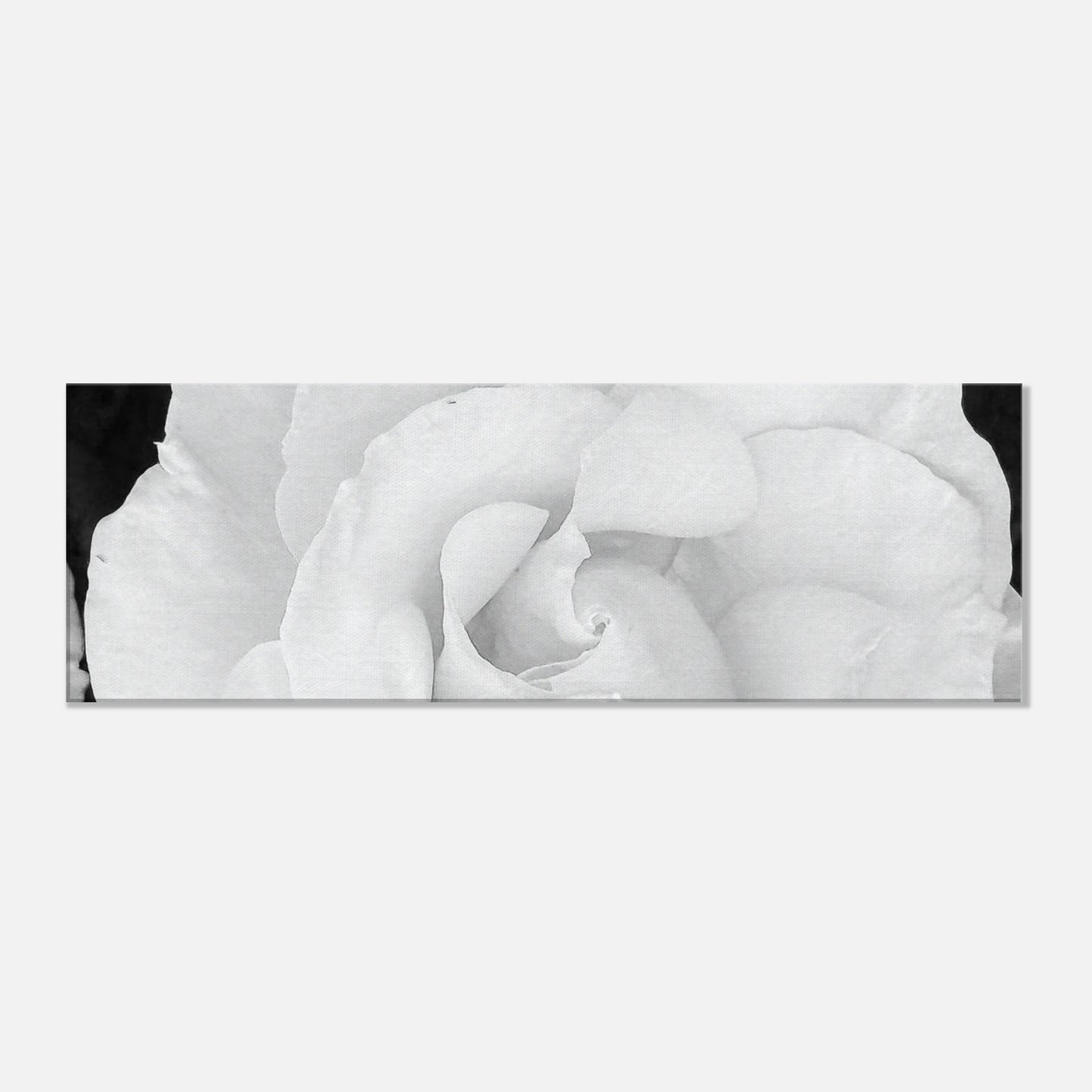 c0533184-a9fc-4317-a312-2eeaa92b93f8