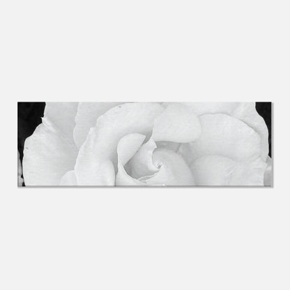 c0533184-a9fc-4317-a312-2eeaa92b93f8