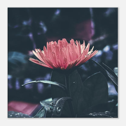 c05d02a6-e19b-4ebf-884a-534642e2f1f1