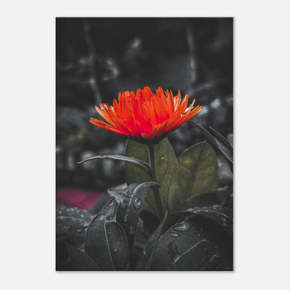 c068c92c-65e5-43b0-8e80-c07290c34757