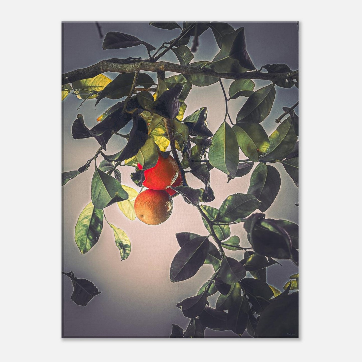 c0a29539-2c50-4f11-98fd-37a49d78ee64