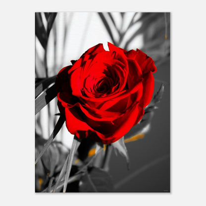 c0d61537-b598-45b9-b562-8fa0af3968e1