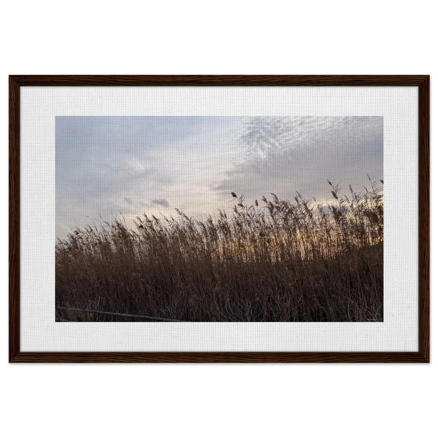 c1040b9c-97dd-4098-b38b-8d35514f1d6b