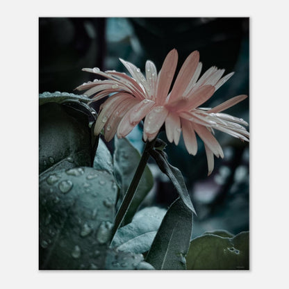 c11027fe-e0ad-4134-a22a-d1e2ee73c94d