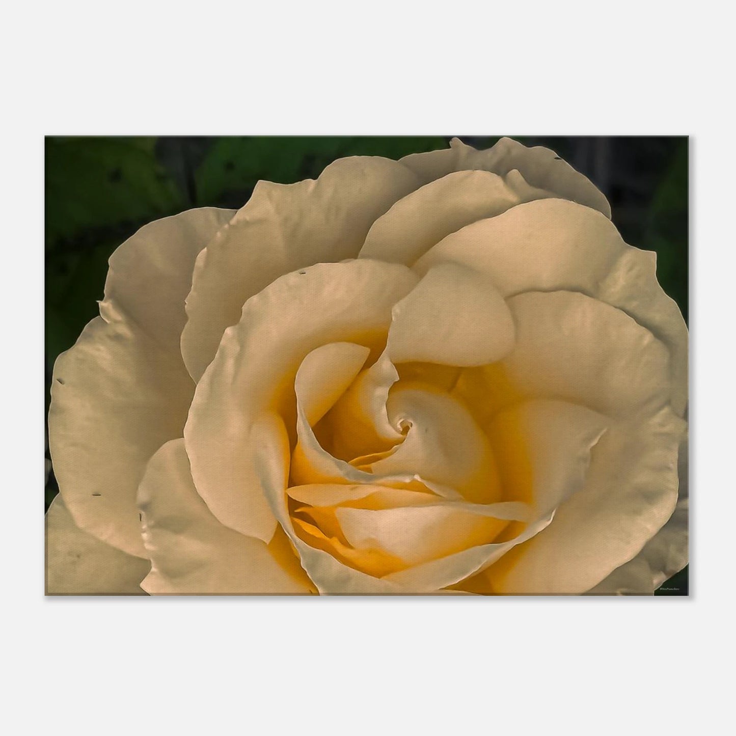 c127c372-04bb-4eec-9b6e-0a8d98722ac7