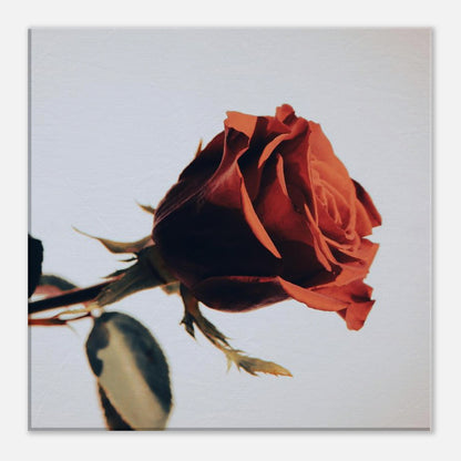 c127d577-f5f4-4bad-8b54-f8192218019d