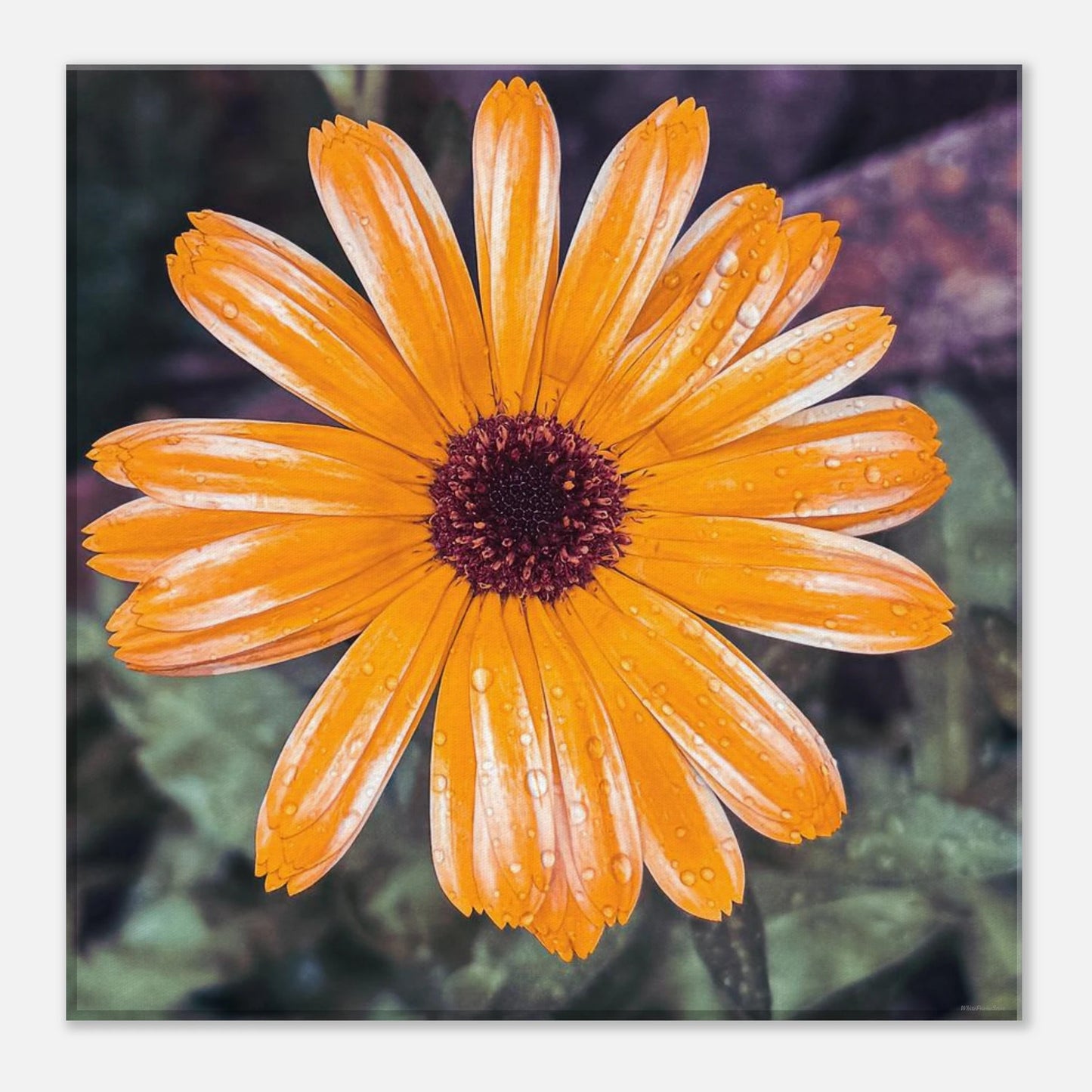 c13cc5fb-9c49-419f-be8a-9379217cd0b6