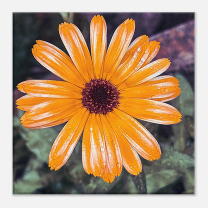 c13cc5fb-9c49-419f-be8a-9379217cd0b6