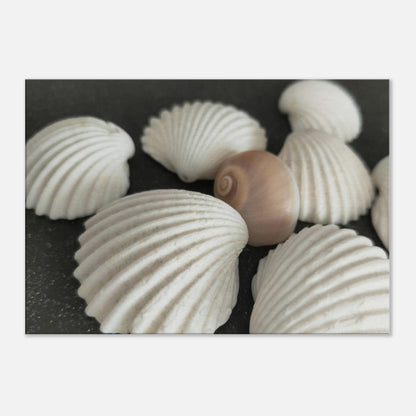 c13f2ed2-5f4b-4956-a27a-f2429adbb9ff