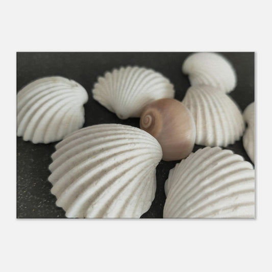 c13f2ed2-5f4b-4956-a27a-f2429adbb9ff