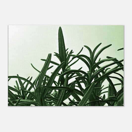 c13fa149-eadb-4df6-9e58-f694b2fa8dad