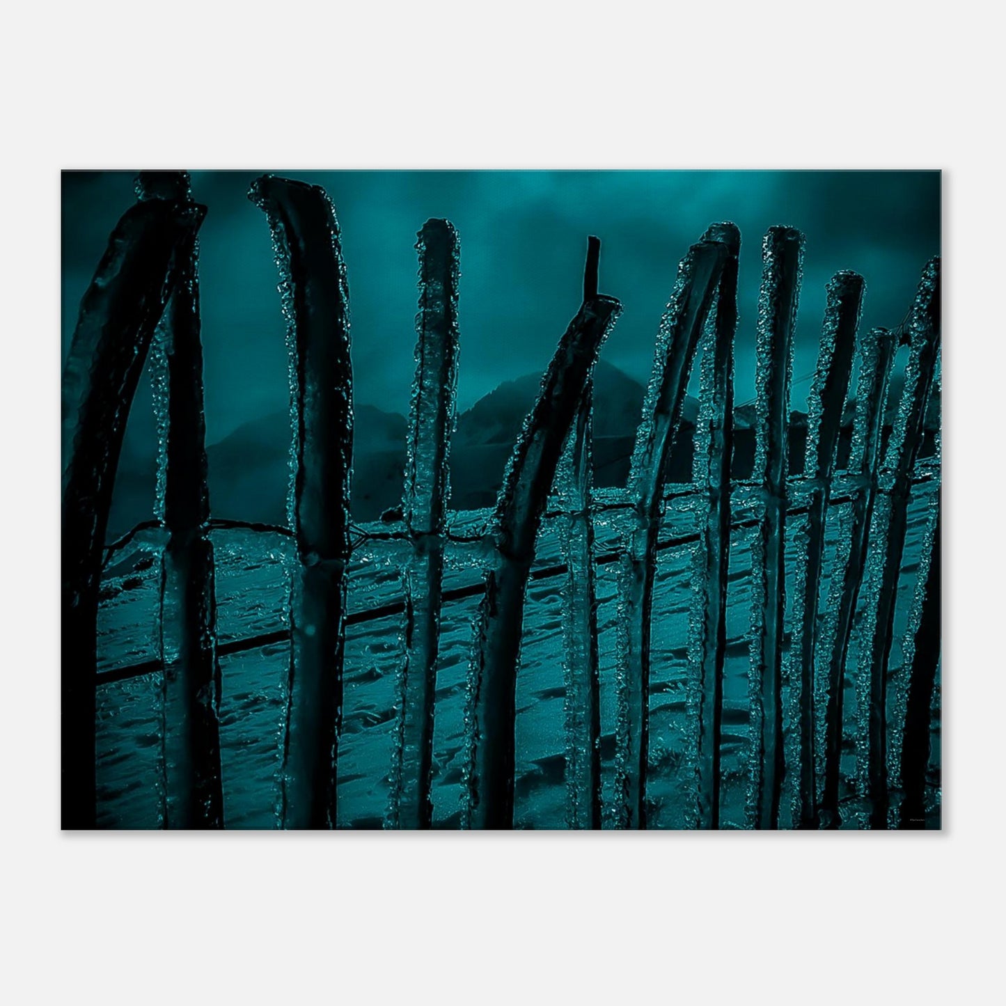 c15d80a5-2e57-42d5-9628-e7df7b989b04