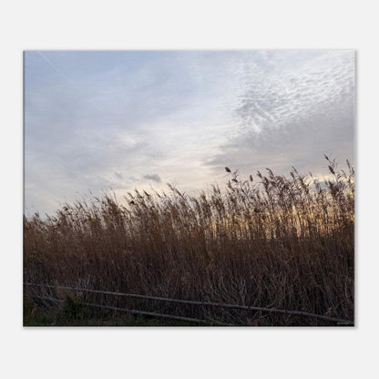 c16c5e46-ce97-41d0-917d-3b5d4cbcb90a