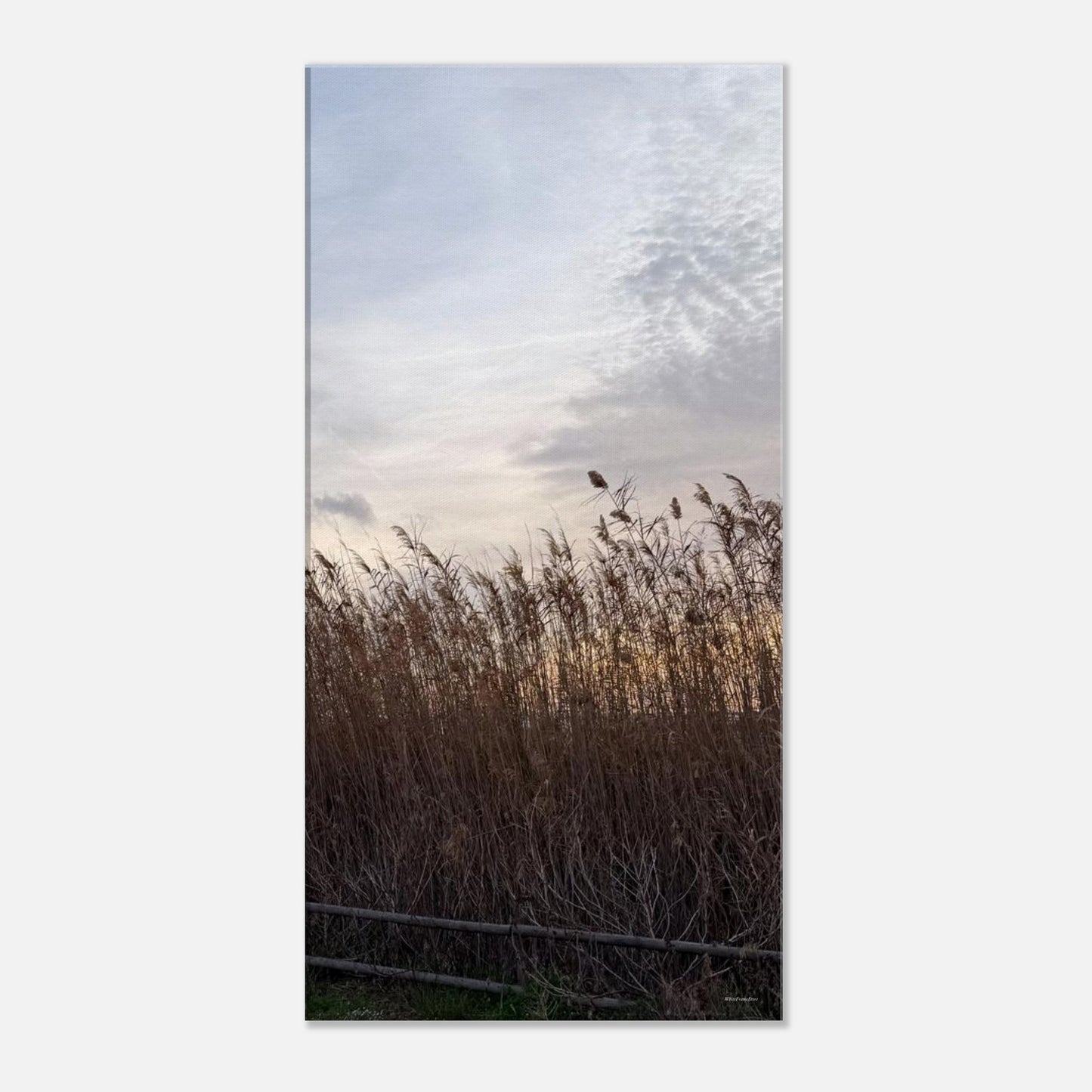 c179cc2a-f9ad-4512-88af-24a17fababca