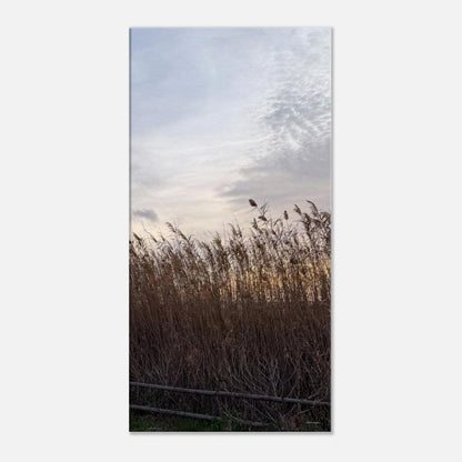 c179cc2a-f9ad-4512-88af-24a17fababca