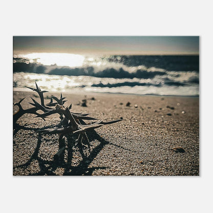 c19a7ce1-a1dc-4950-b69c-03ae53d017c9