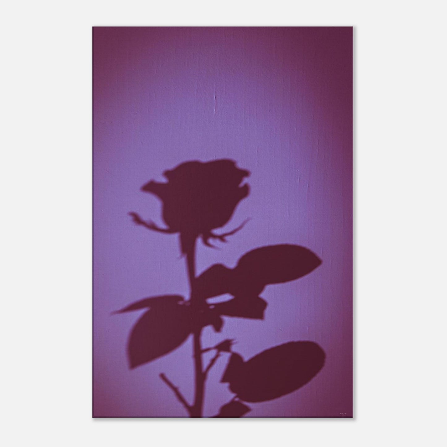 c1c0674f-d5f9-4699-a1da-1e847588eea2