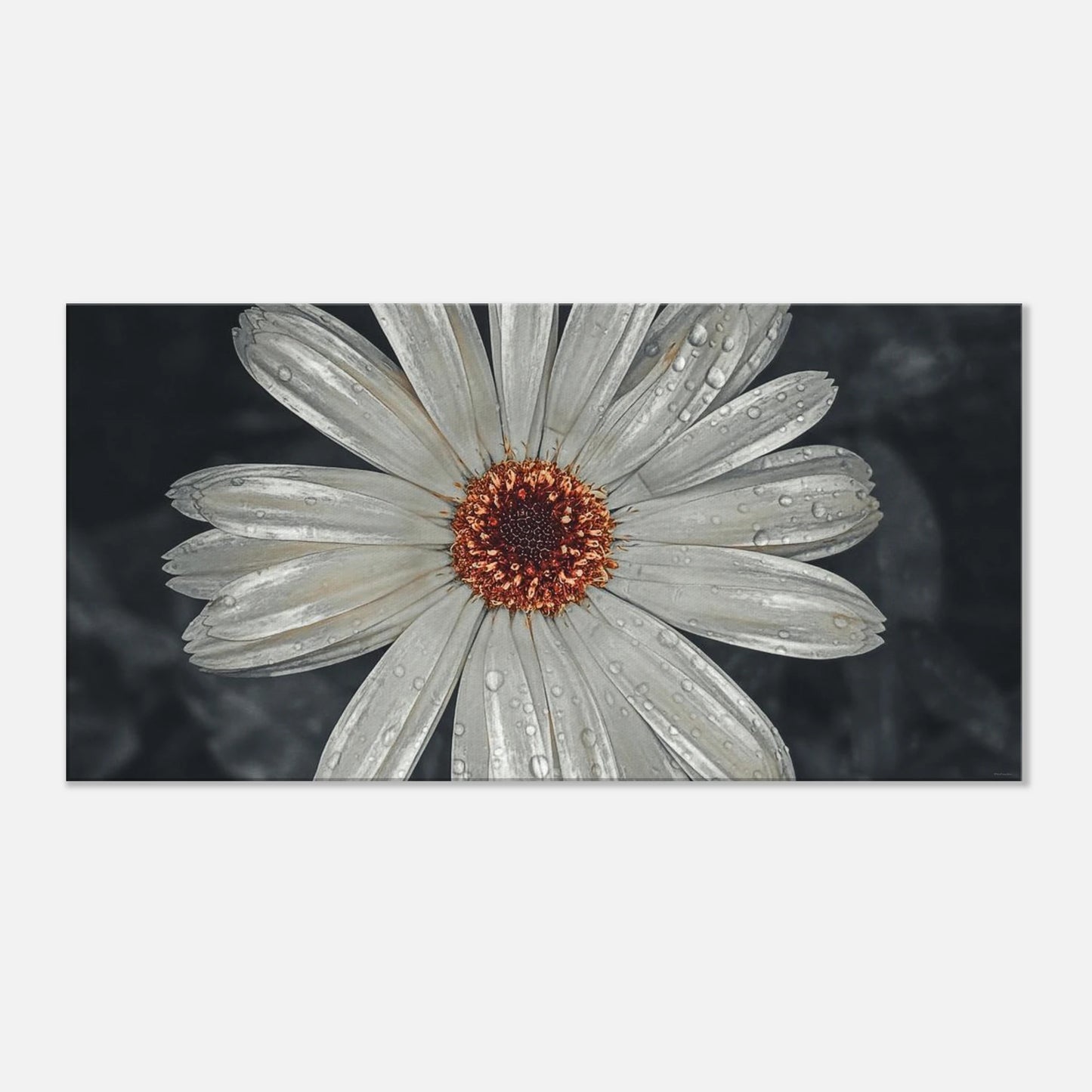 c1cfbfb6-035d-4179-b89b-2fb74cc6d5b1