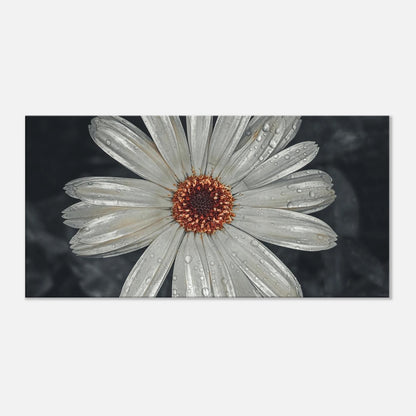 c1cfbfb6-035d-4179-b89b-2fb74cc6d5b1