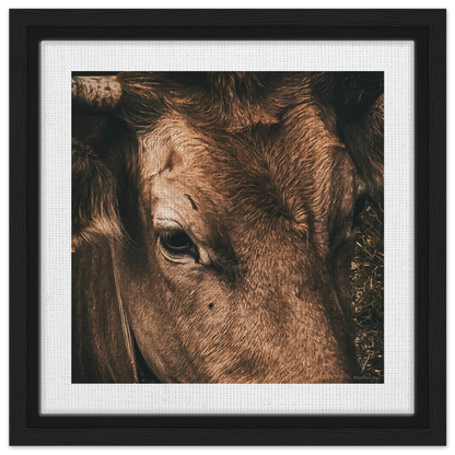 c1ebc1a3-5556-4d7b-bc2c-5e6f4569956c