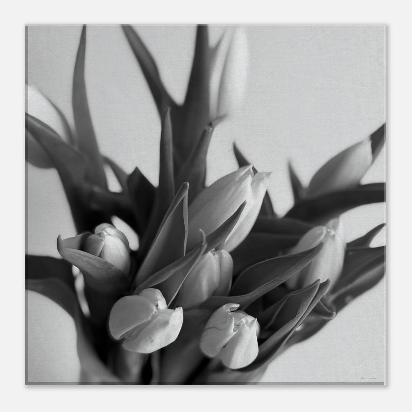 c200ce9b-7a74-4af7-8583-9f4dd76dca61