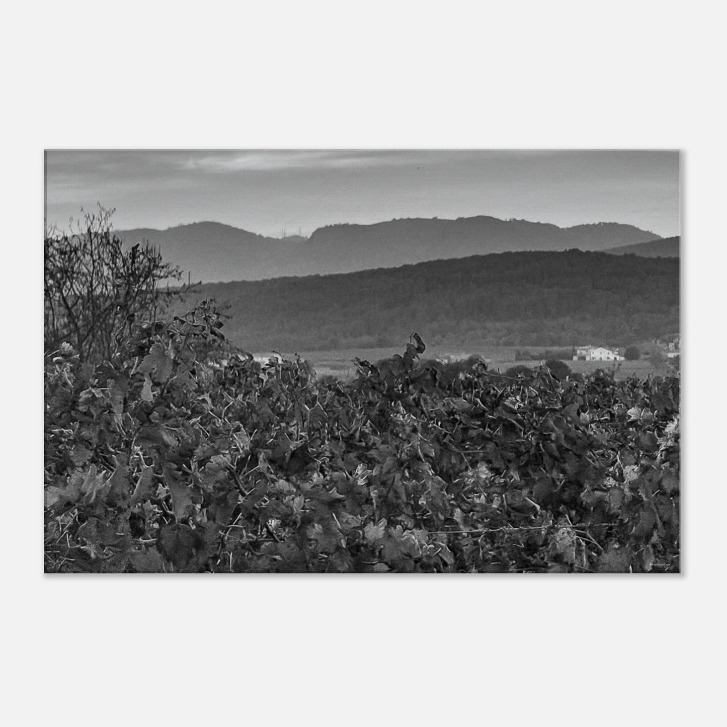 c225be3d-b598-4a5c-8eb0-85c3bb597ff1