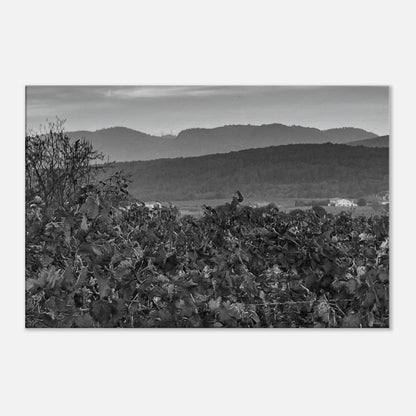 c225be3d-b598-4a5c-8eb0-85c3bb597ff1